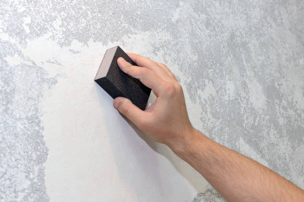 Best Mold Prevention Services  in Nicholls, GA