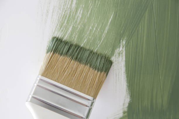 Best Residential Mold Inspection & Testing  in Nicholls, GA