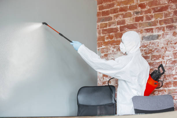 Best Air Quality Testing for Mold Spores  in Nicholls, GA