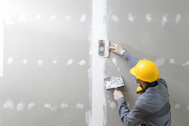 Best Mold Documentation for Insurance Claims  in Nicholls, GA