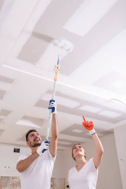  Nicholls, GA Mold Removal Pros