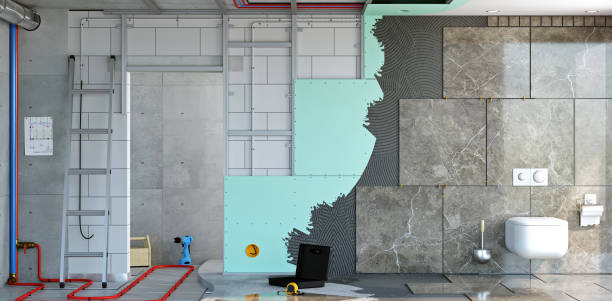 Best Basement Mold Removal  in Nicholls, GA
