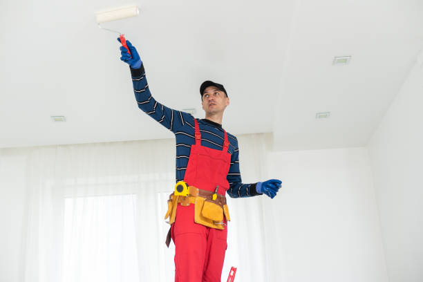Best Mold Removal for HVAC Installations  in Nicholls, GA