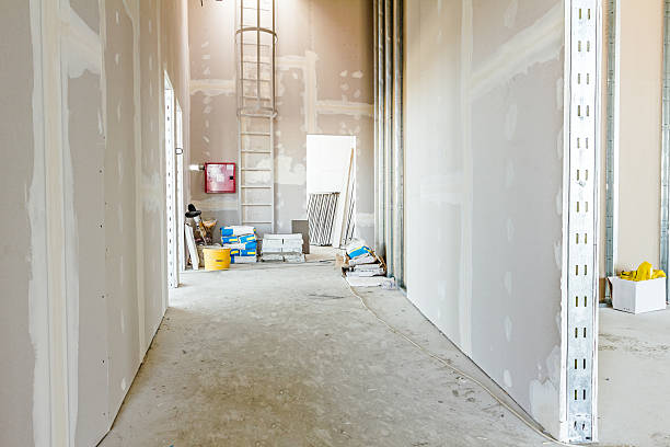 Asbestos and Lead Testing During Mold Inspection in Nicholls, GA